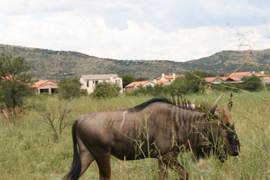 Commercial Property for Sale in La Camargue Private Country Estate North West